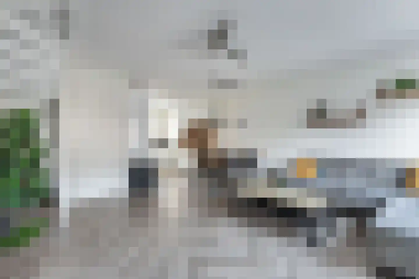 Gentiaan 4 Marknesse thumbnail 14