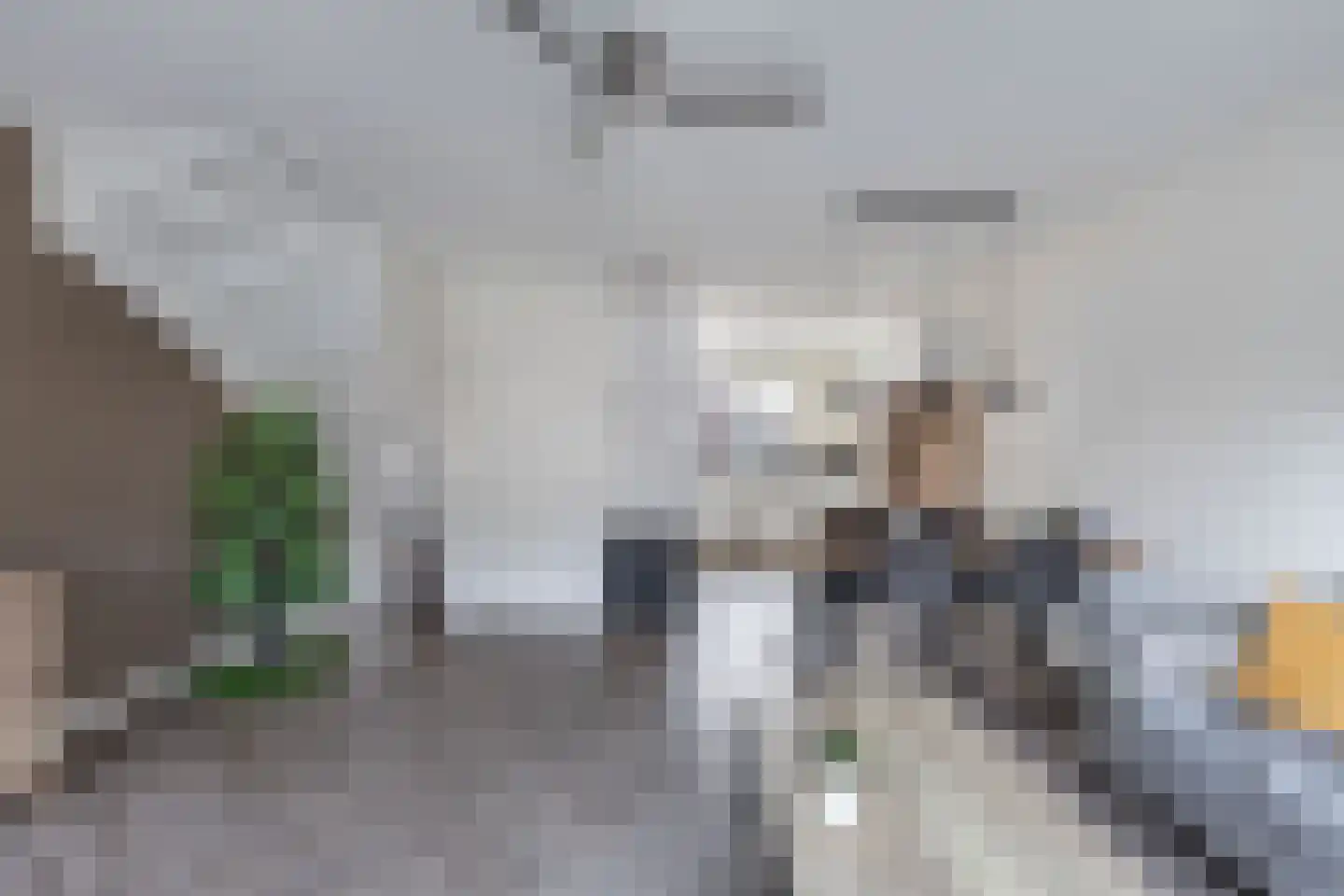 Gentiaan 4 Marknesse thumbnail 15