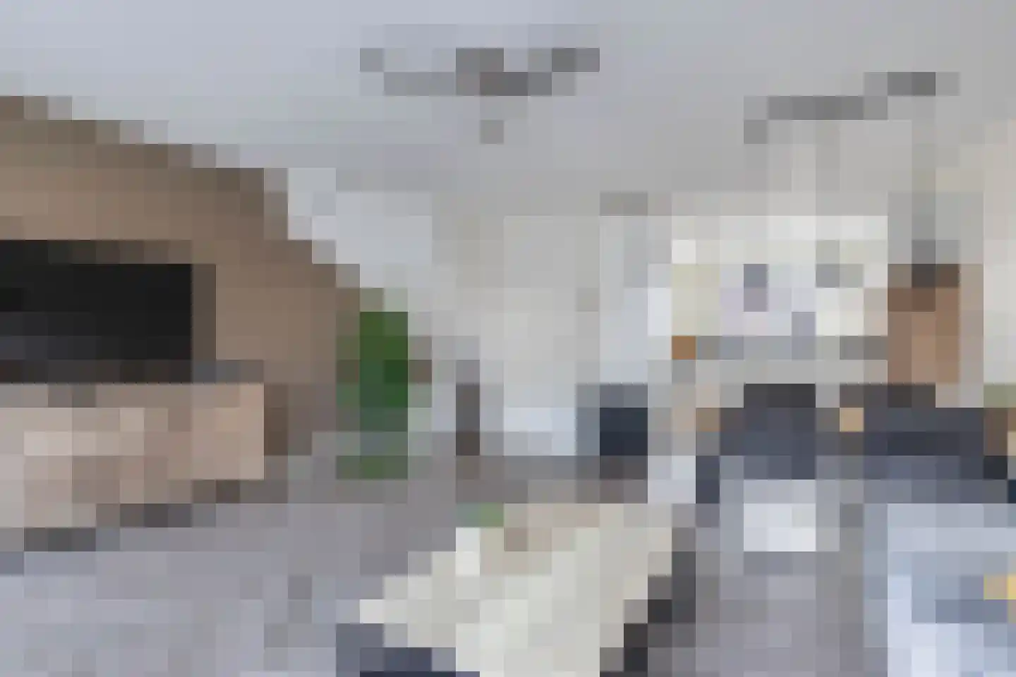 Gentiaan 4 Marknesse thumbnail 16