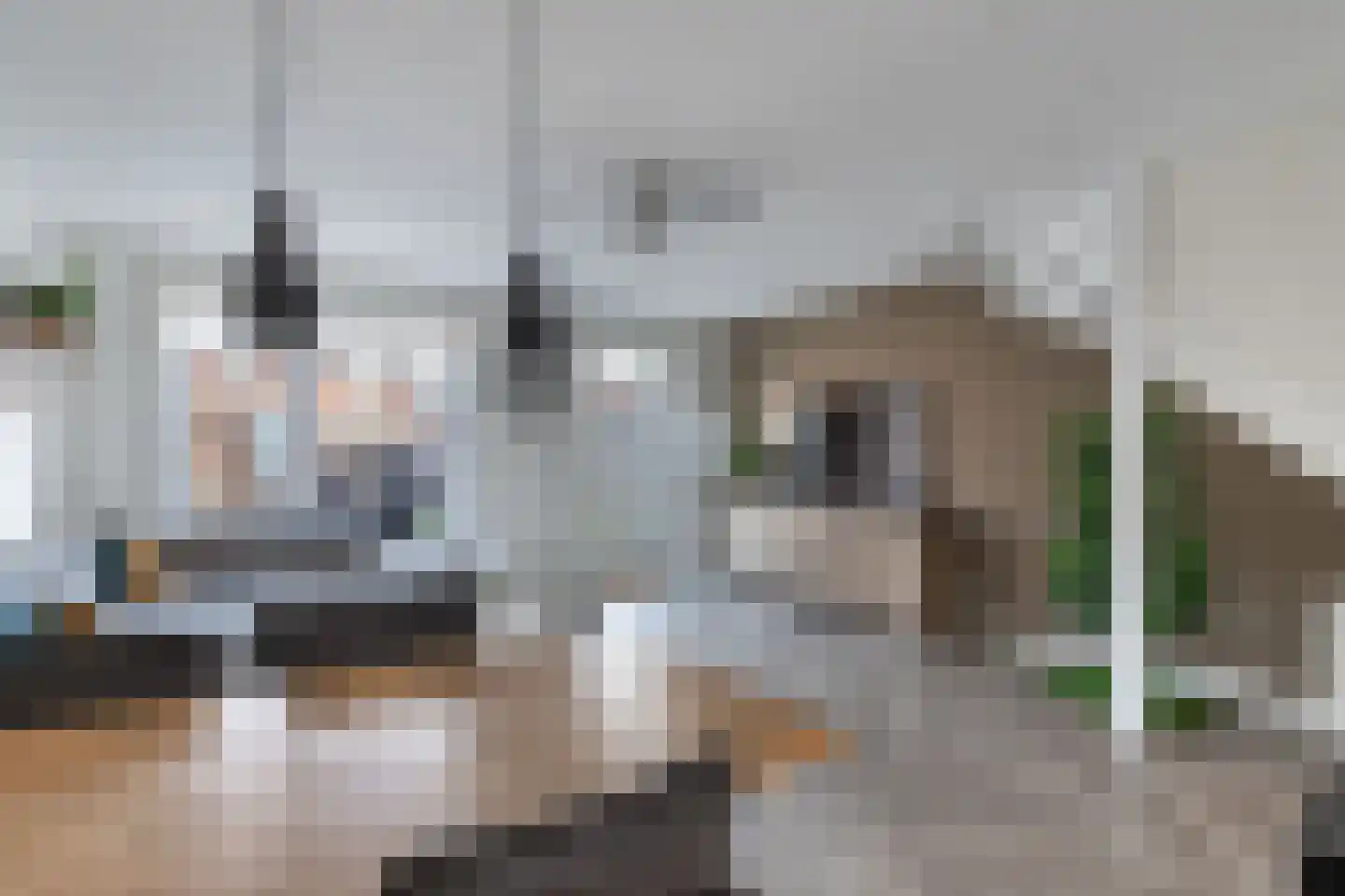 Gentiaan 4 Marknesse thumbnail 23