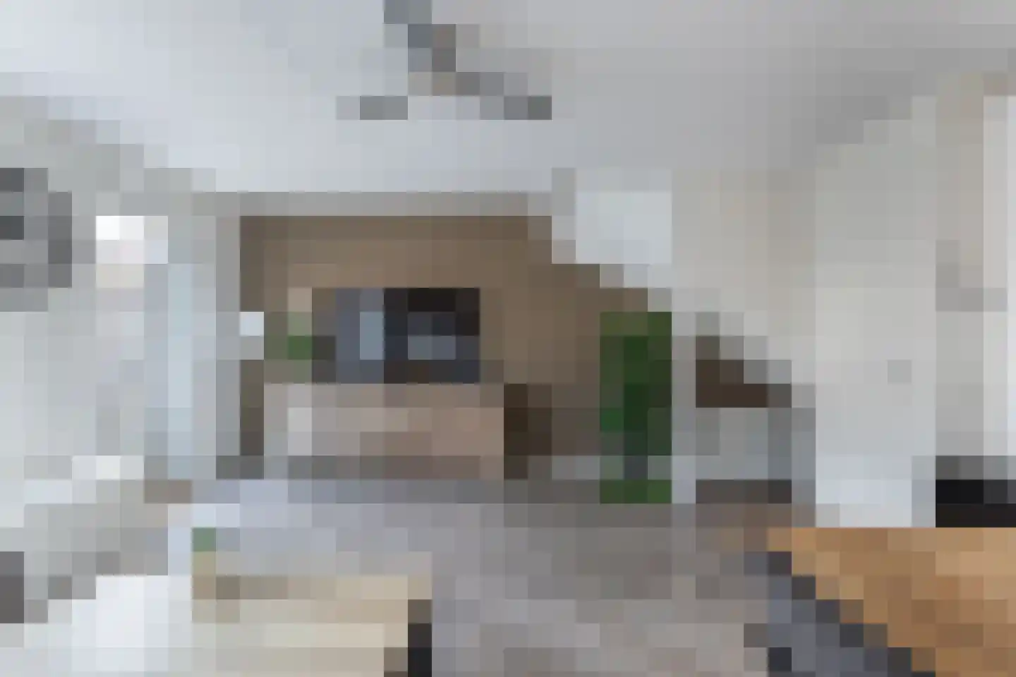 Gentiaan 4 Marknesse thumbnail 24