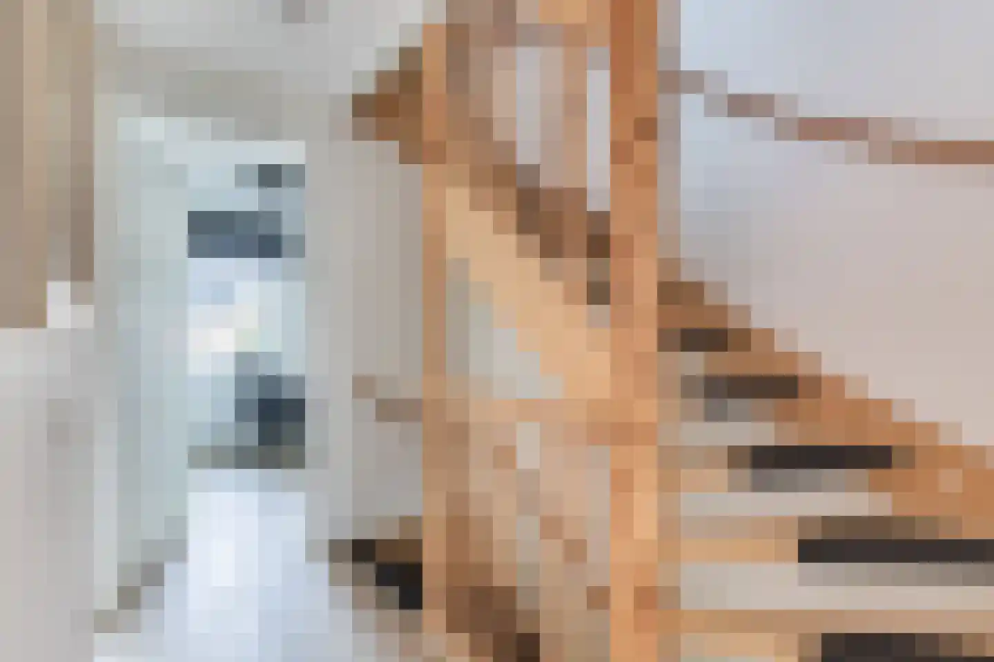 Gentiaan 4 Marknesse thumbnail 25