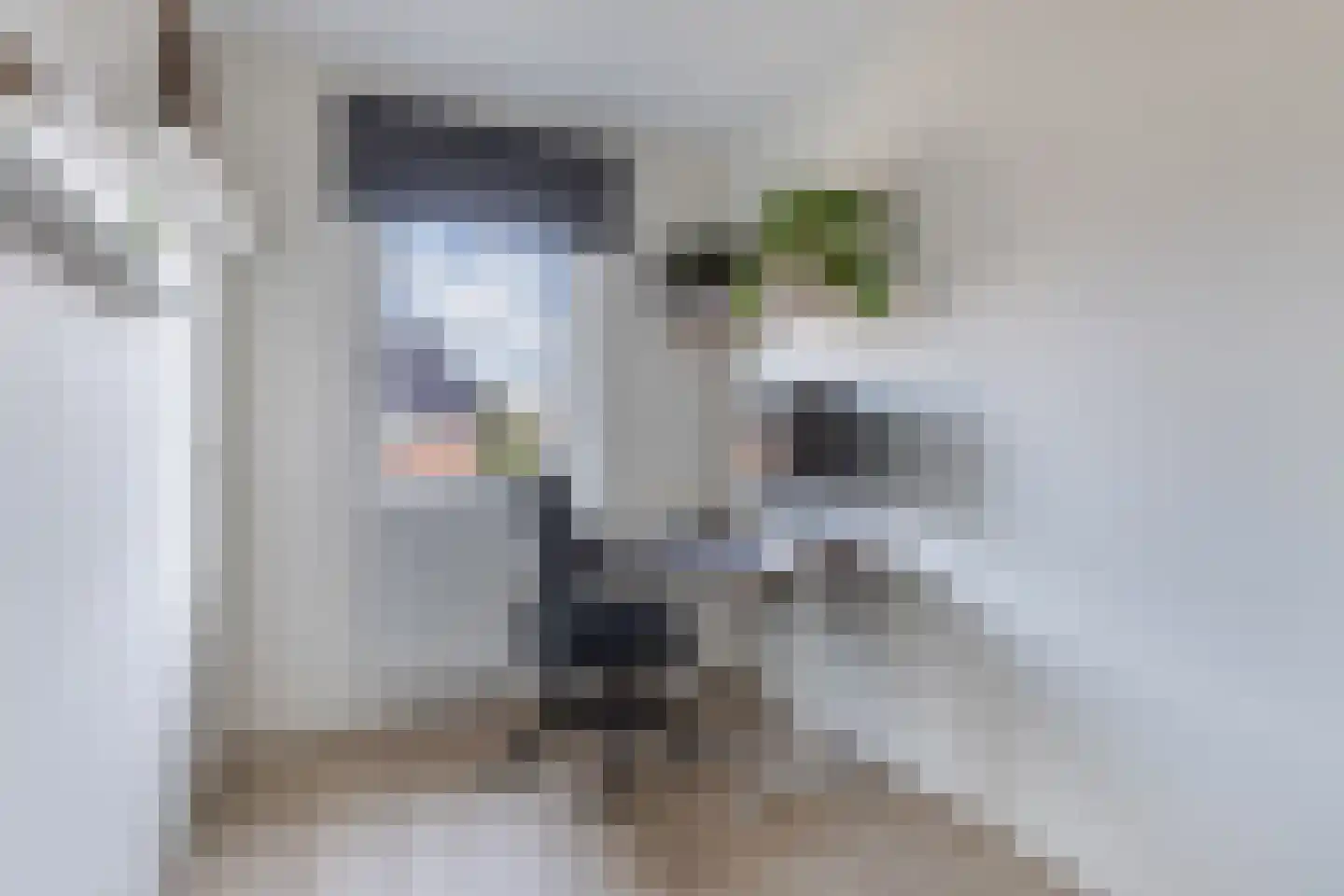 Gentiaan 4 Marknesse thumbnail 30