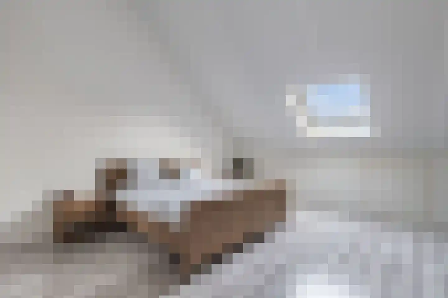 Gentiaan 4 Marknesse thumbnail 34