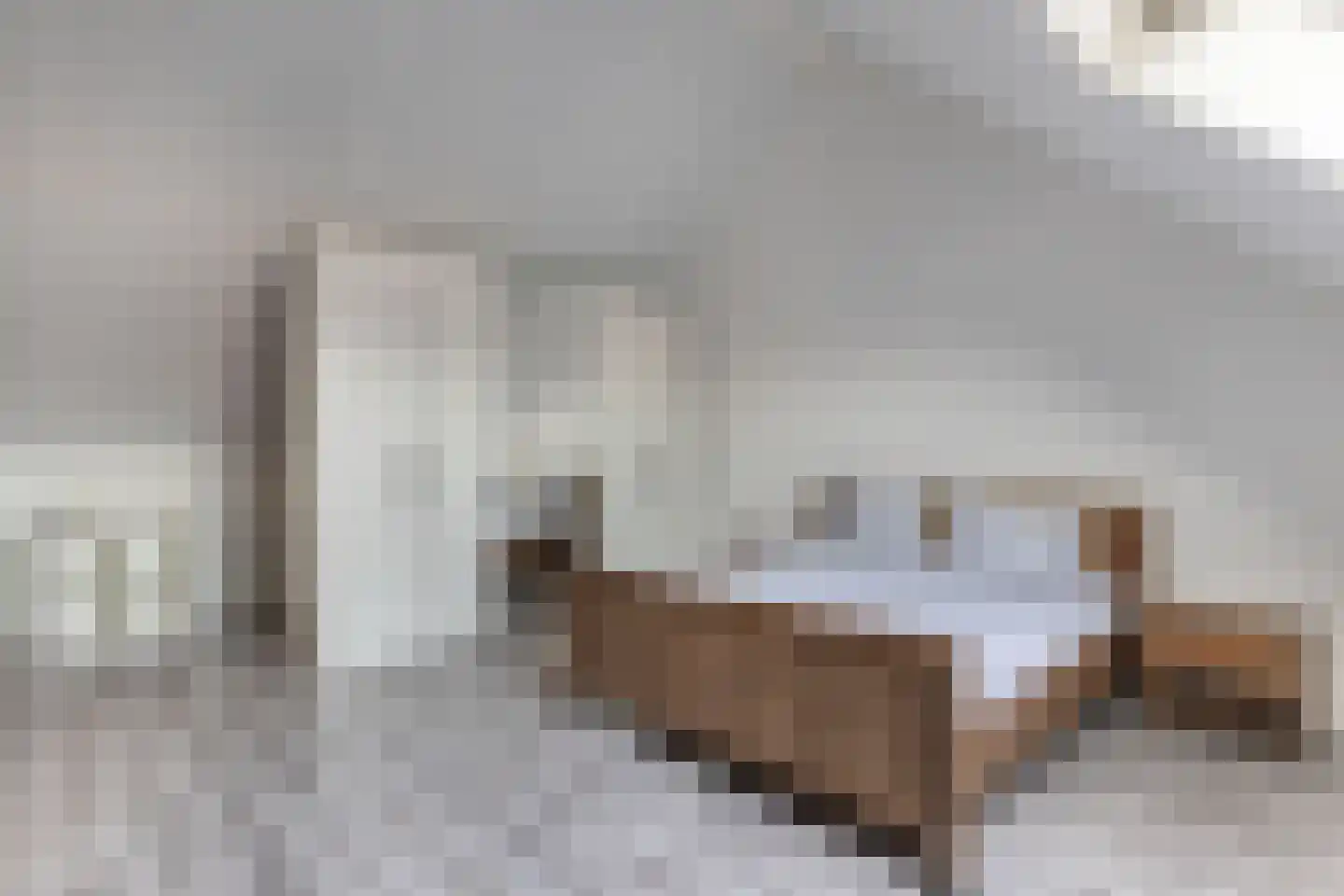 Gentiaan 4 Marknesse thumbnail 35