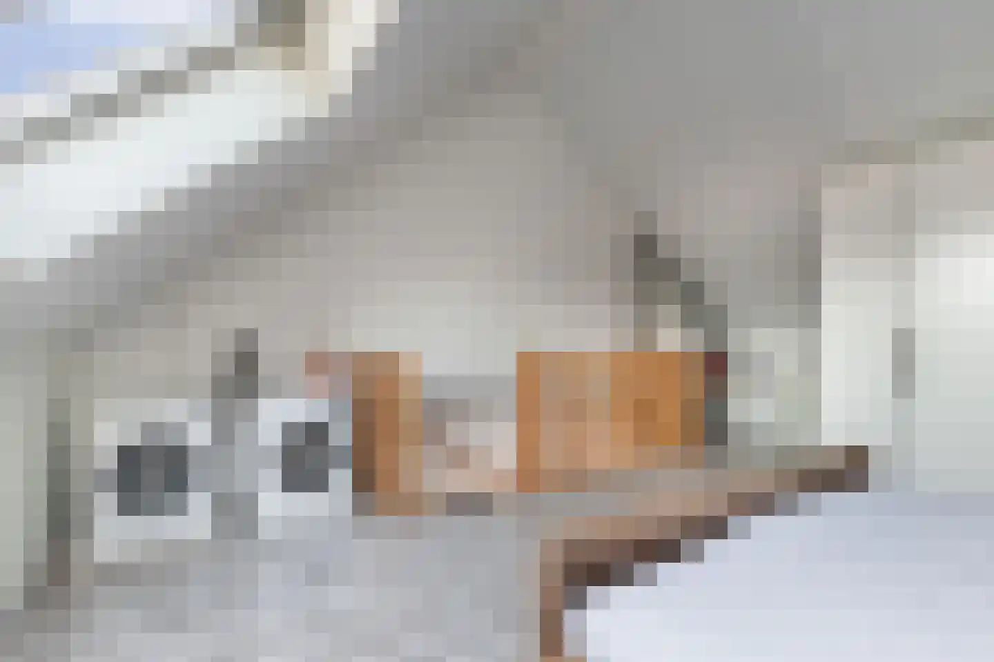 Gentiaan 4 Marknesse thumbnail 36