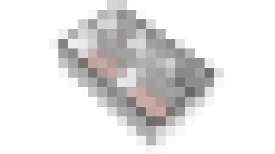 Gentiaan 4 Marknesse thumbnail 50