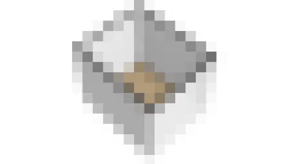 Gentiaan 4 Marknesse thumbnail 54