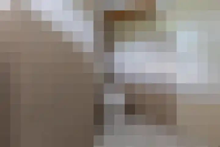 Gentiaan 4 Wolvega thumbnail 25
