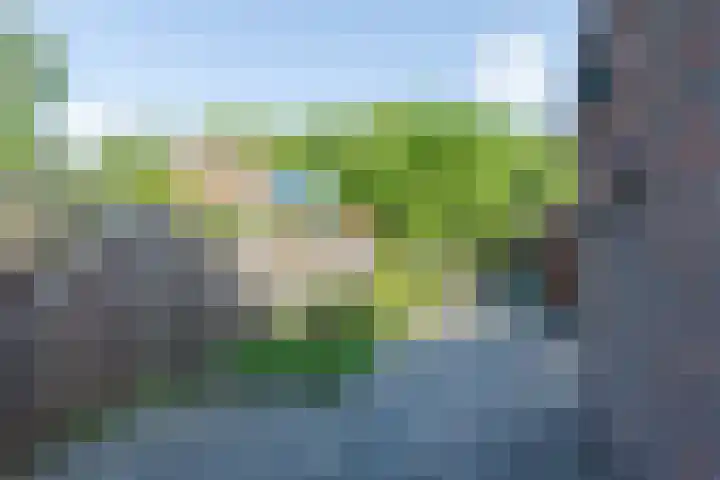 Gentiaan 4 Wolvega thumbnail 32