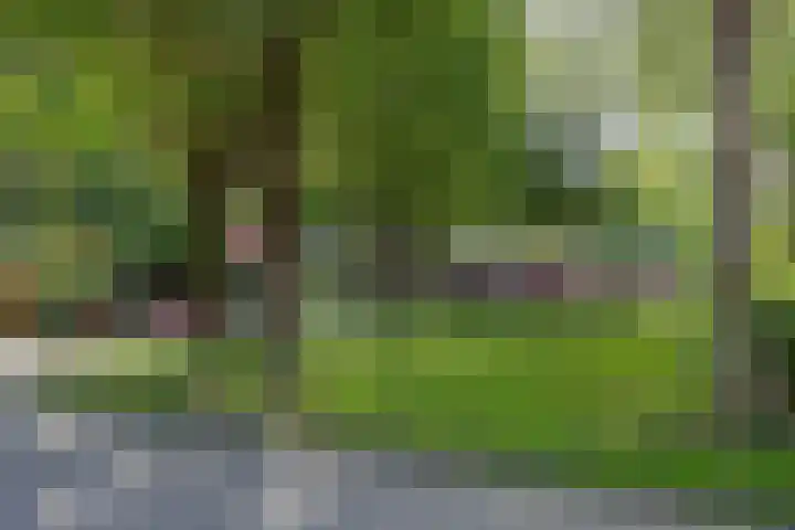 Gentiaan 4 Wolvega thumbnail 36