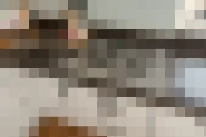 Gentiaan 44 Nootdorp thumbnail 12