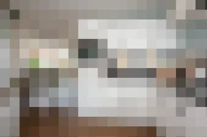 Gentiaan 44 Nootdorp thumbnail 13