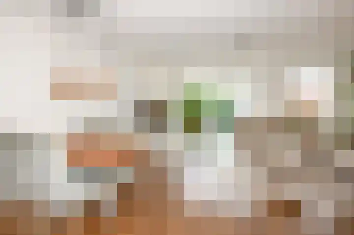 Gentiaan 44 Nootdorp thumbnail 15