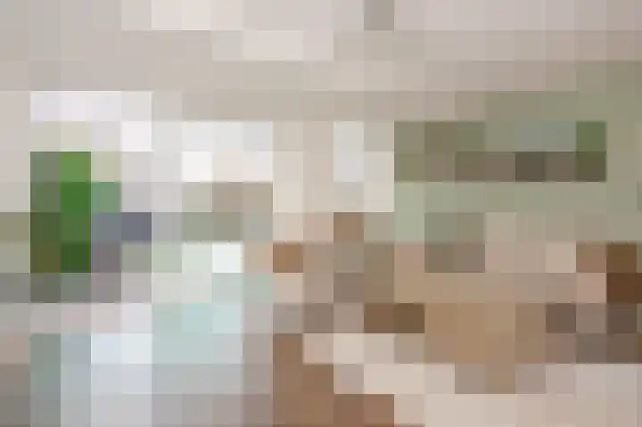 Gentiaan 44 Nootdorp thumbnail 18