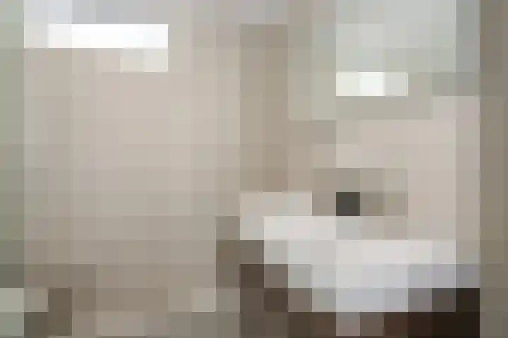 Gentiaan 44 Nootdorp thumbnail 47