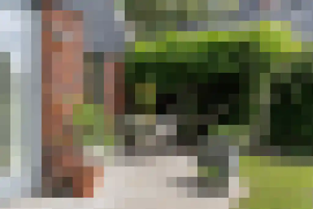Gentiaan 47 Den Haag thumbnail 5