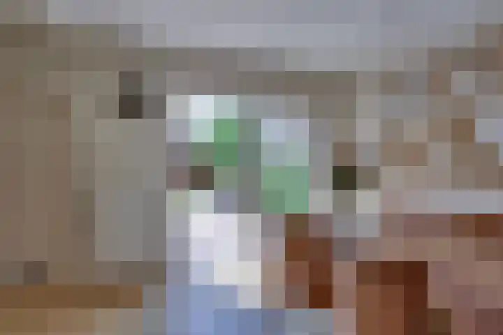 Gentiaan 5 Nijverdal thumbnail 10