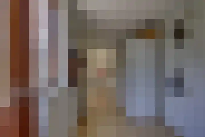 Gentiaan 5 Nijverdal thumbnail 14