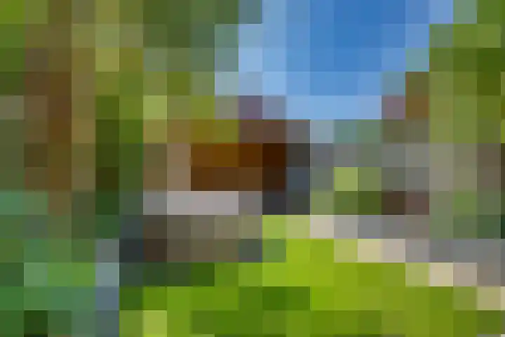 Gentiaan 5 Nijverdal thumbnail 28