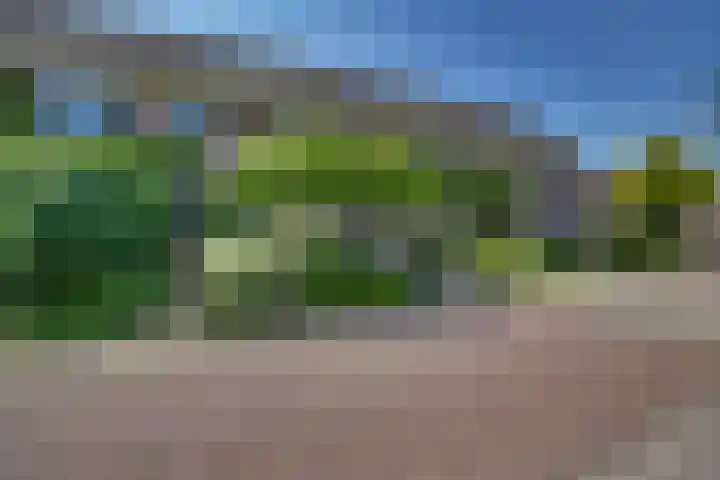 Gentiaan 5 Nijverdal foto 3