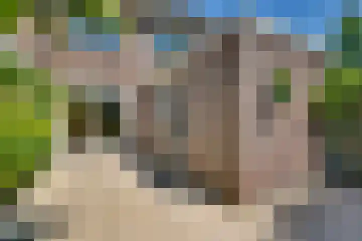Gentiaan 5 Nijverdal thumbnail 31