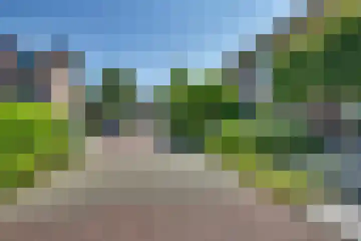 Gentiaan 5 Nijverdal thumbnail 33