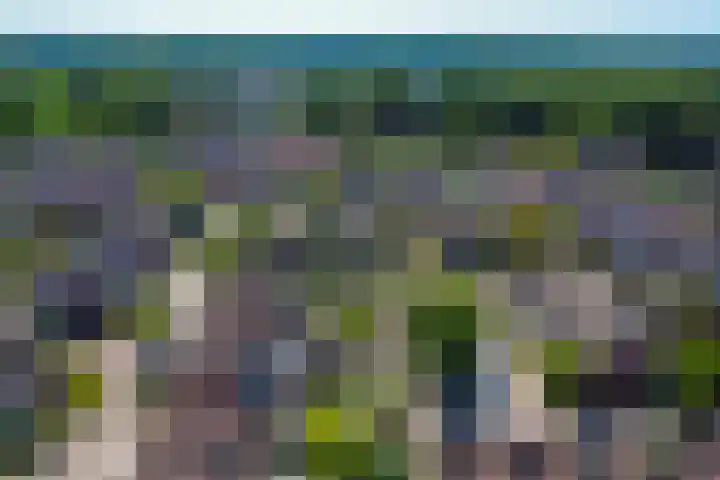 Gentiaan 5 Nijverdal thumbnail 34