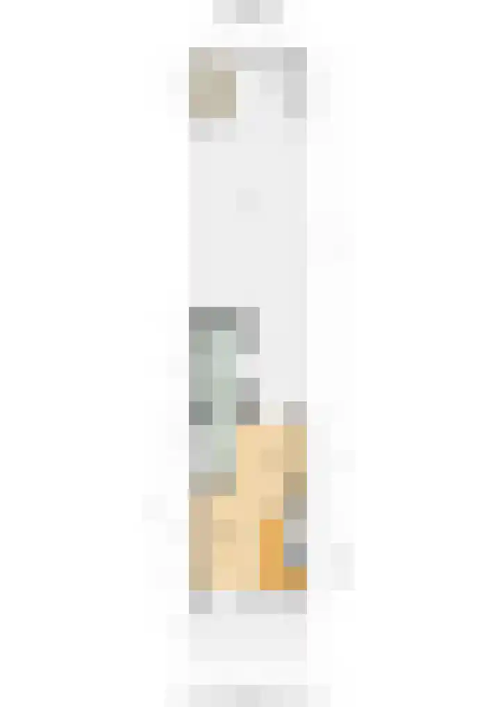 Gentiaan 5 Nijverdal thumbnail 41