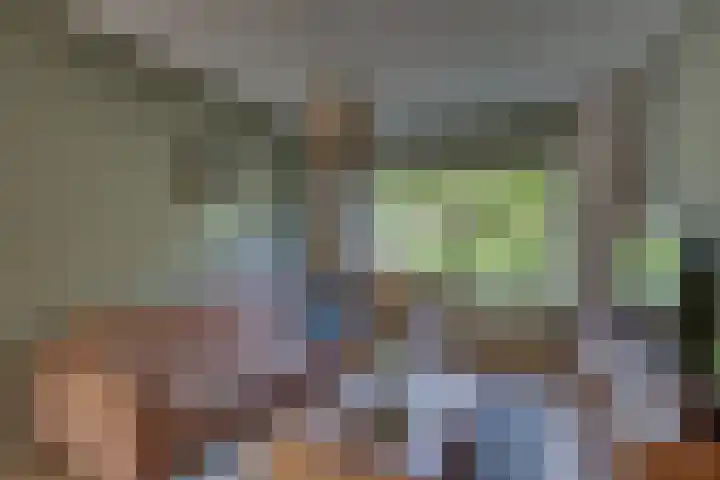 Gentiaan 5 Nijverdal thumbnail 7