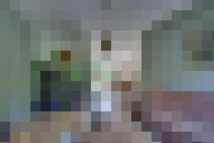 Gentiaan 5 Nijverdal thumbnail 8