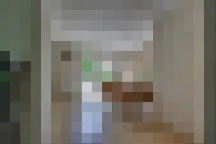 Gentiaan 5 Nijverdal thumbnail 9