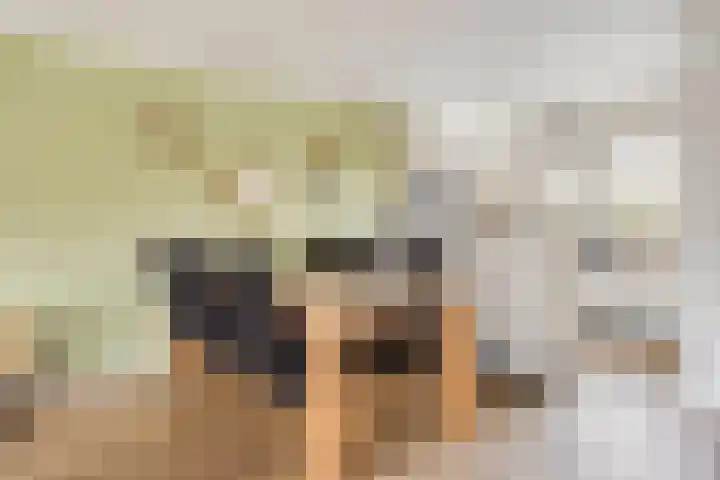 Gentiaan 59 Haaksbergen thumbnail 13