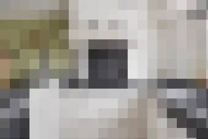 Gentiaan 59 Haaksbergen thumbnail 14