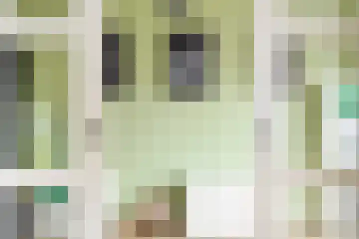 Gentiaan 59 Haaksbergen thumbnail 19