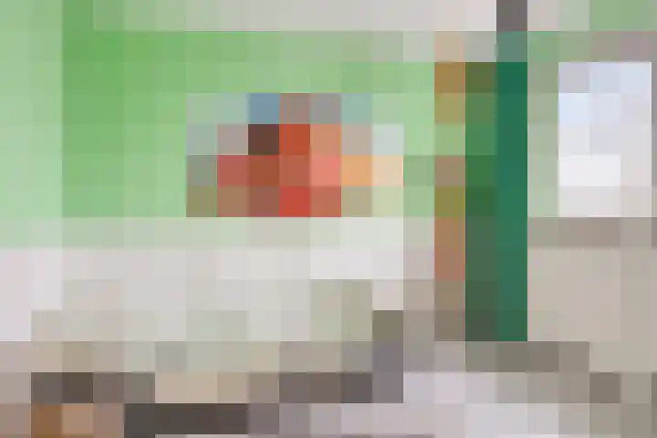 Gentiaan 59 Haaksbergen thumbnail 28