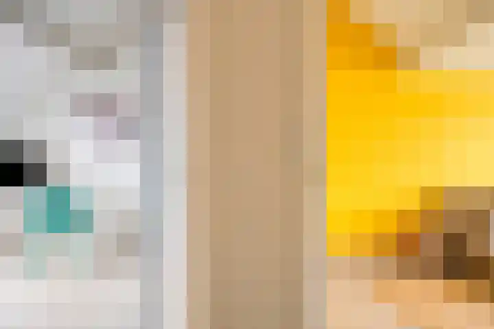 Gentiaan 59 Haaksbergen thumbnail 31