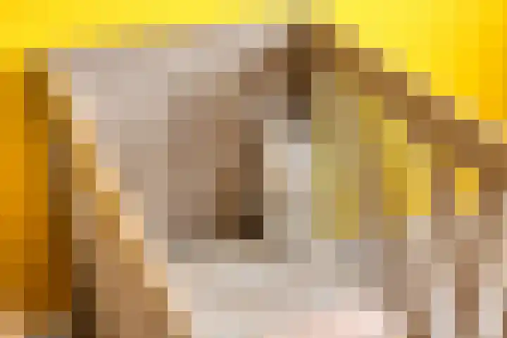 Gentiaan 59 Haaksbergen thumbnail 33