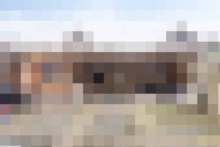 Gentiaan 59 Haaksbergen thumbnail 37