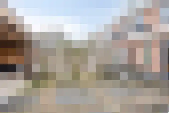 Gentiaan 59 Haaksbergen thumbnail 38