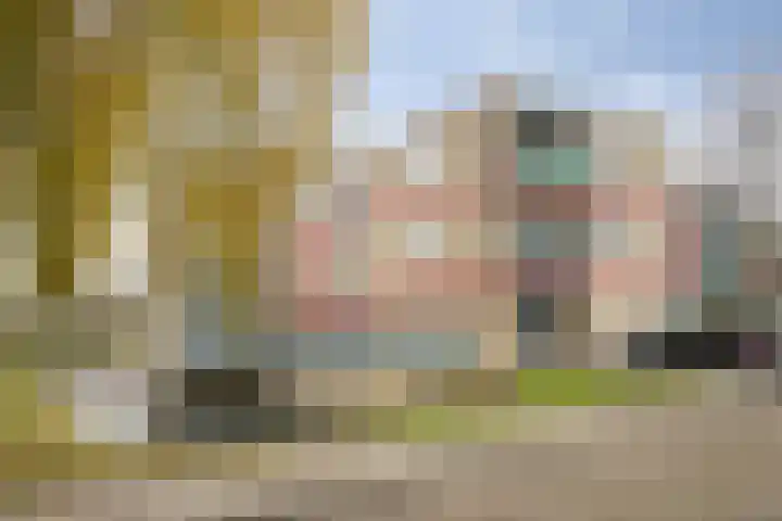 Gentiaan 6 in Terheijden