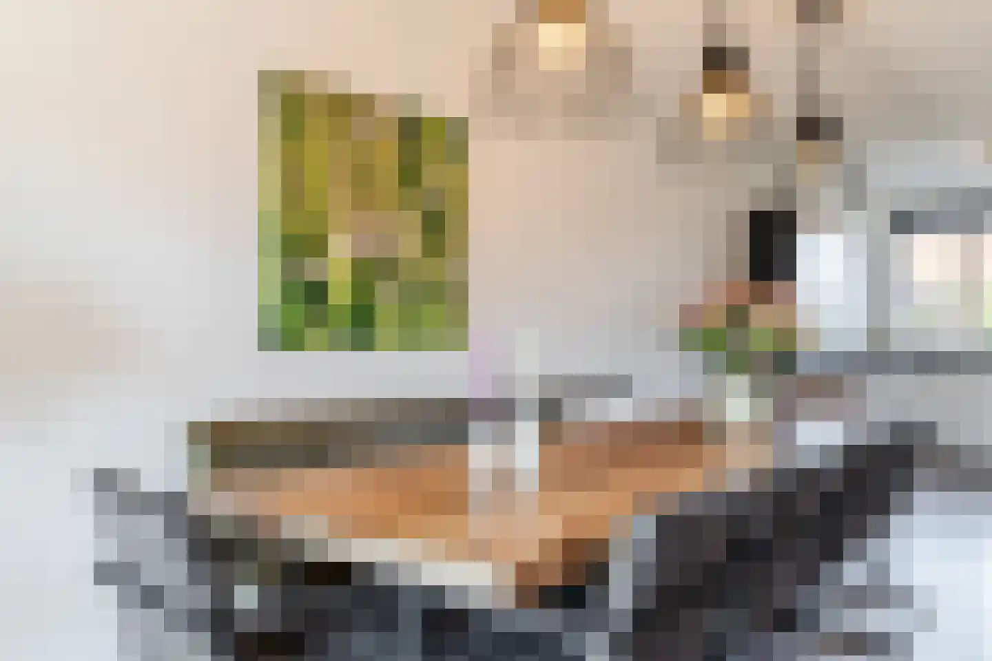 Gentiaan 6 Bodegraven thumbnail 24