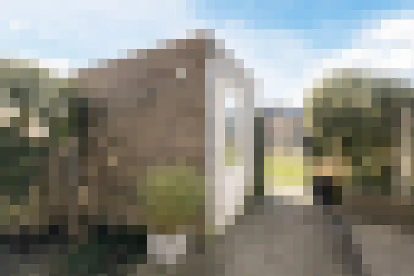 Gentiaan 6 Bodegraven thumbnail 57