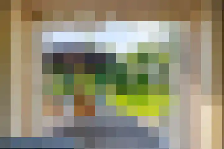 Gentiaan 6 Gendringen thumbnail 10
