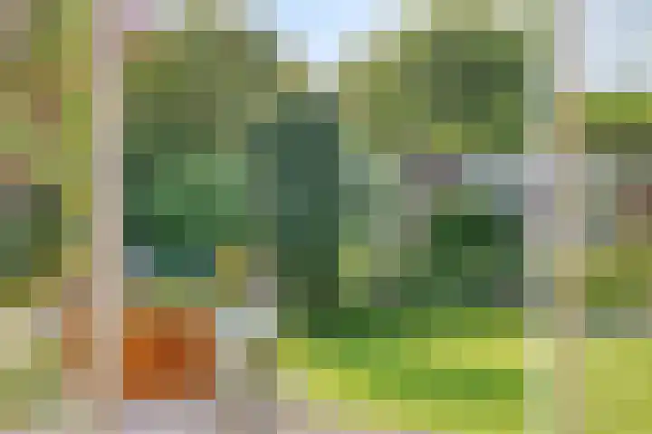 Gentiaan 6 Gendringen thumbnail 11