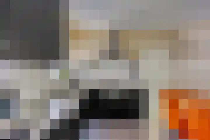 Gentiaan 6 Gendringen thumbnail 14
