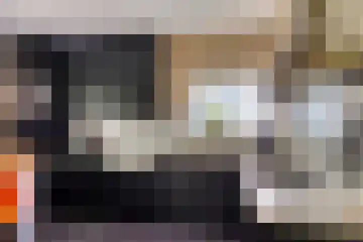 Gentiaan 6 Gendringen thumbnail 16