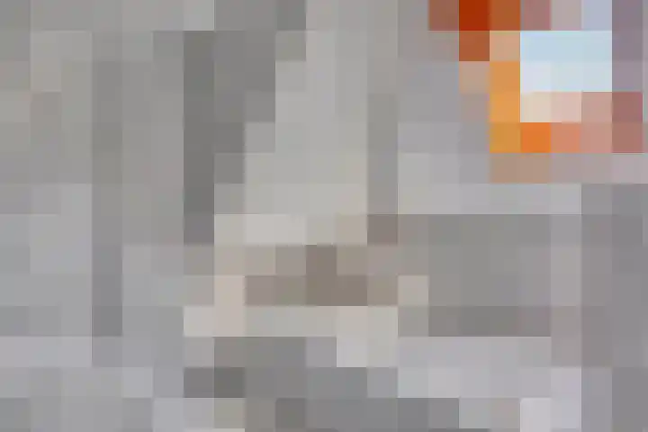 Gentiaan 6 Gendringen thumbnail 22