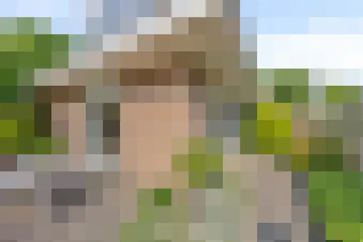 Gentiaan 6 Gendringen thumbnail 30
