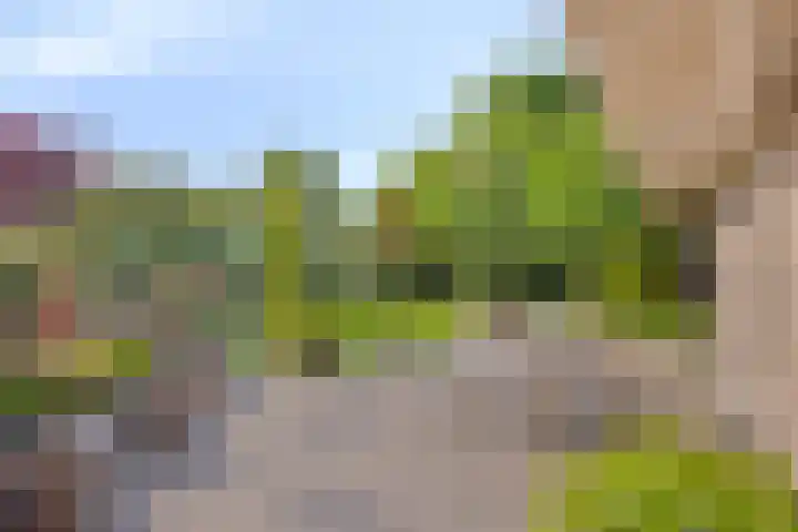 Gentiaan 6 Gendringen thumbnail 31